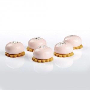 PAVOFLEX  40X30 PLANET 