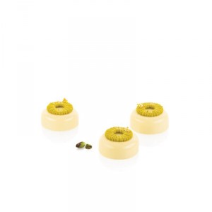 STAMPO TUTU' 7 SILICONE 