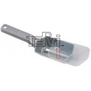 SQUAMAPESCI CONTENITORE ALL. 